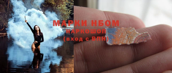 ПСИЛОЦИБИНОВЫЕ ГРИБЫ Алексин