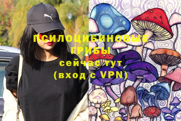 мяу мяу мука Алзамай
