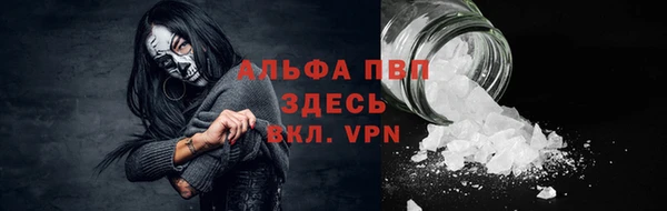PSILOCYBIN Абаза