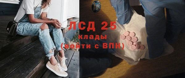 PSILOCYBIN Абаза