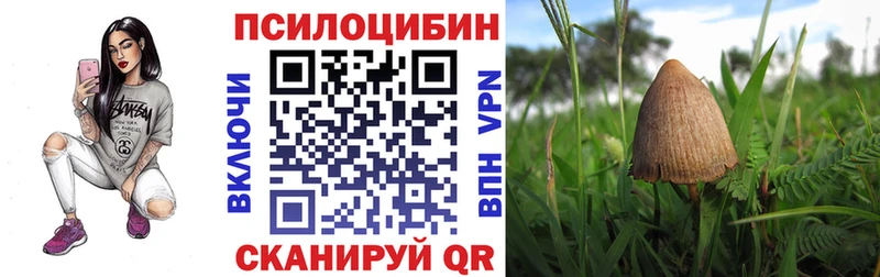 сколько стоит  Ахтырский  Галлюциногенные грибы Magic Shrooms 