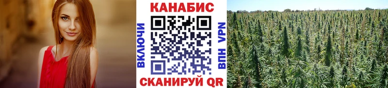 Бошки Шишки VHQ  мега вход  Ахтырский  продажа наркотиков 