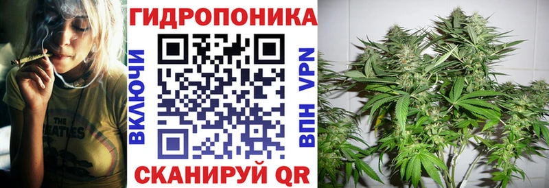Каннабис сатива Ахтырский